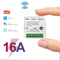 Wifi Mini Smart Switch 16A DIY Light Switches 2 Way Wireless Smart Home with Tuya Smart Life EweLink Alexa Alice Google Home