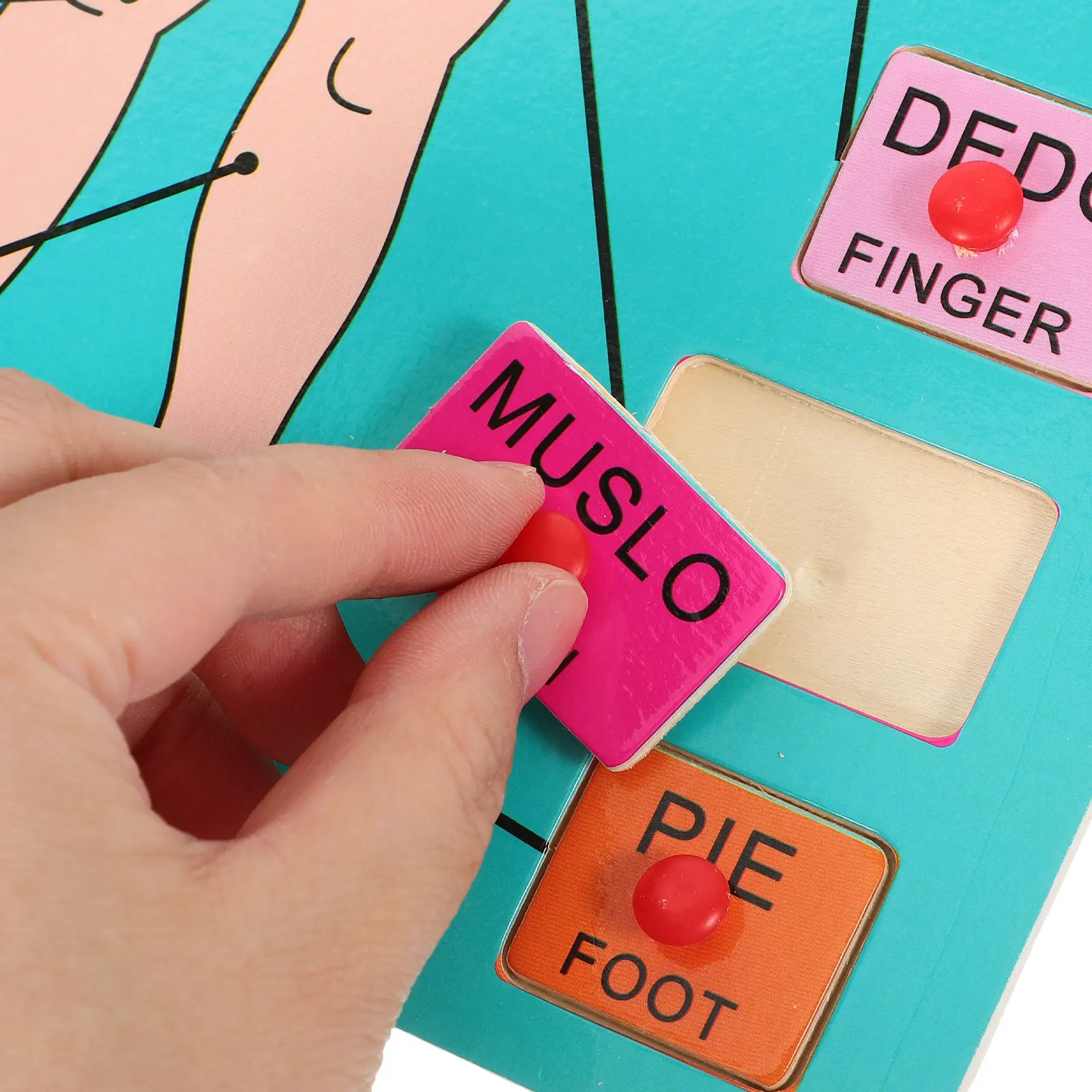 

1Set Spanish Wooden Human Body Puzzle Board Educational Early Learning Development Kids Cognitive Tool Body Parts Recognition