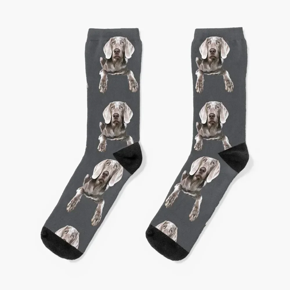 

Weimaraner Socks heated Soccer Stockings man Designer Man Socks Women's