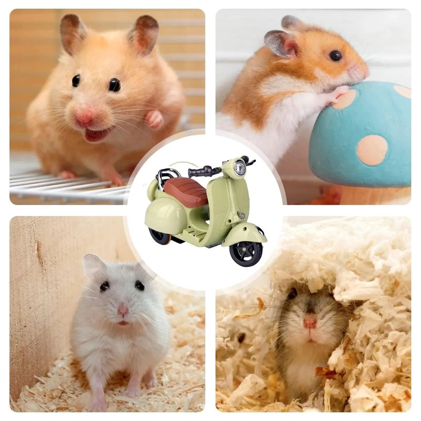 Hamster Motorcycle Toy 4