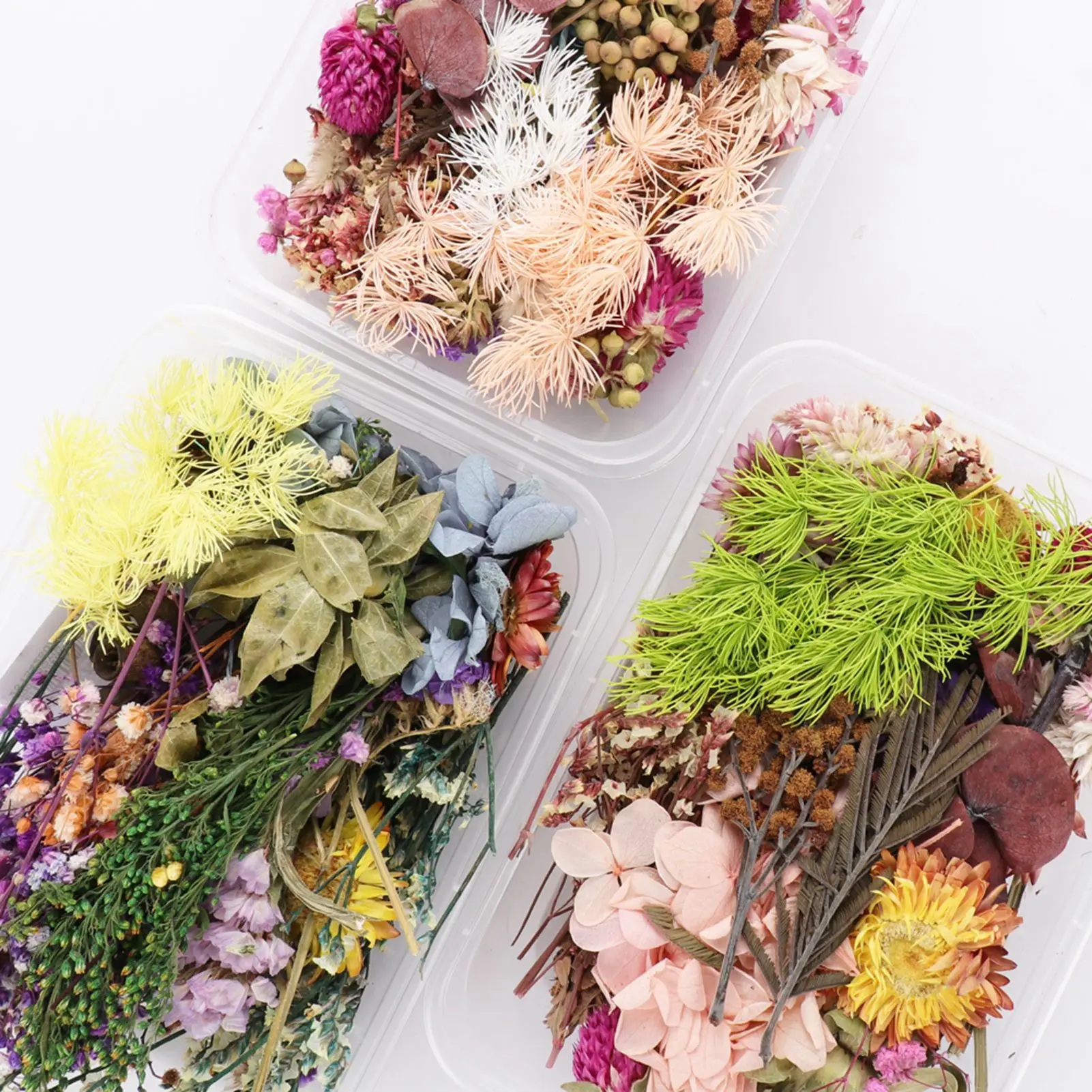 Basic Flowers: The Timeless Elegance of Natural Dried Floral Art for ...