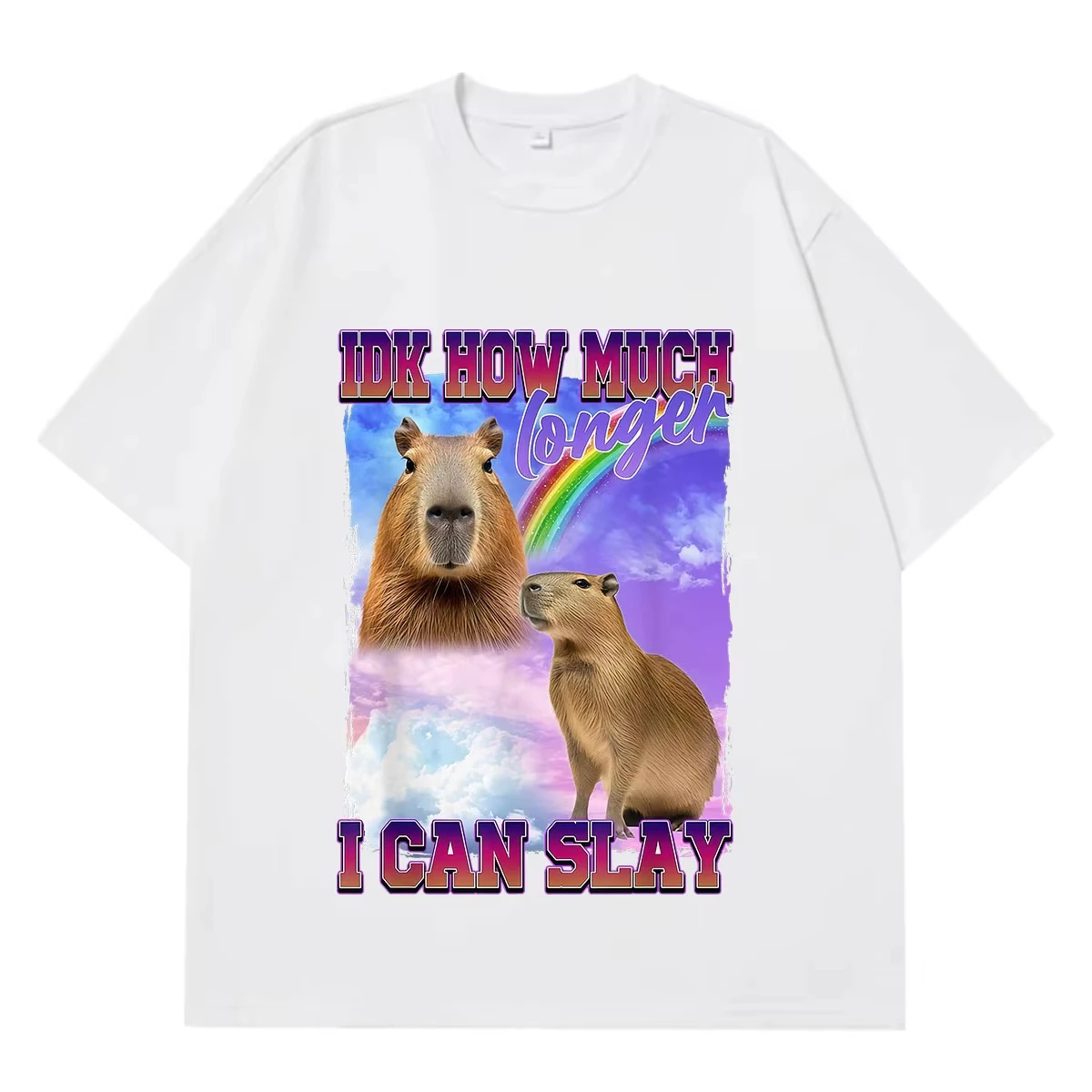 IDK How Much Longer I Can Slay Funny Capybara Meme T-Shirt Men Women Fashion Hip-Hop T-shirts Summer Cotton Oversized T-shirts