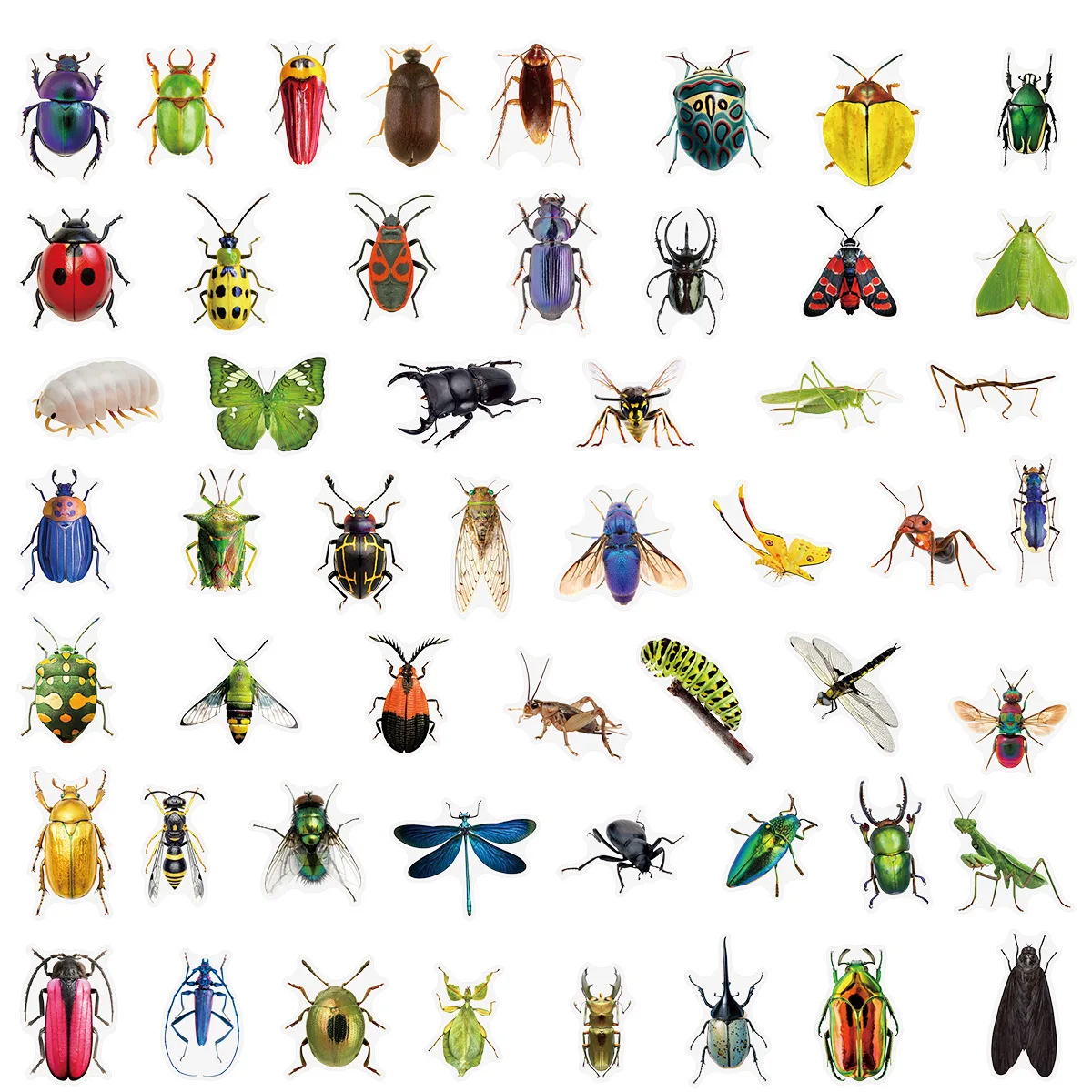 10/25/50 Uds pegatinas de insectos transparentes mixtas calcomanías para papelería DIY Scrapbooking cuaderno decoración teléfono portátil
