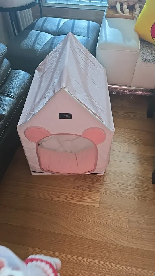 실물 포토 리뷰