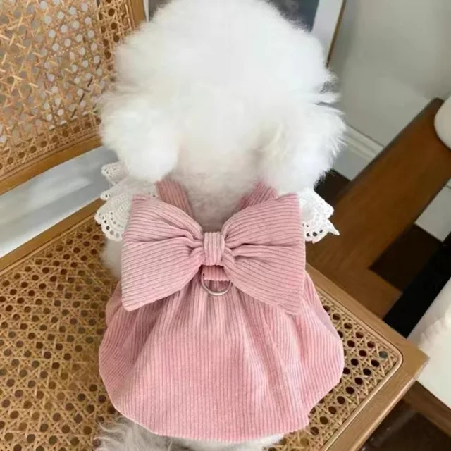 Odzież dla zwierząt Jesień/Zima Nowa sztruksowa spódnica z dyni Ściągająca klamrę Teddy Cat Ciepła koronkowa spódnica Sukienki dla szczeniąt dla małych psów