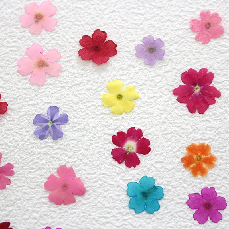 12 Stück, echte getrocknete Blumen, Prägematerialien, DIY-Zubehör für Epoxidharz, für Handyhüllen, Nagelkunst, Gesichtsaufkleber, handgefertigte Dekoration – Detail 3