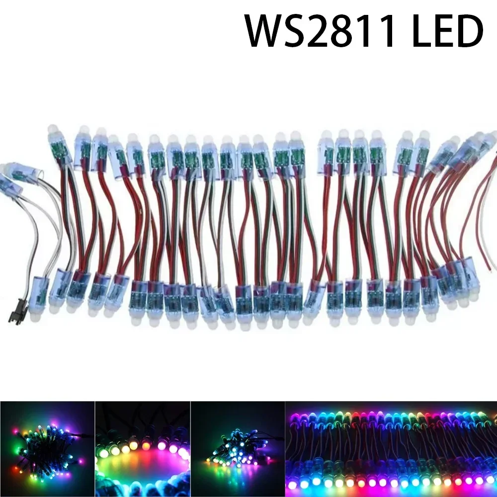 WS2811 LED String Lights Kit 100 Programmable LEDs Remote & Power Supply RGB Adjustable for Parties Weddings Outdoor Lighting