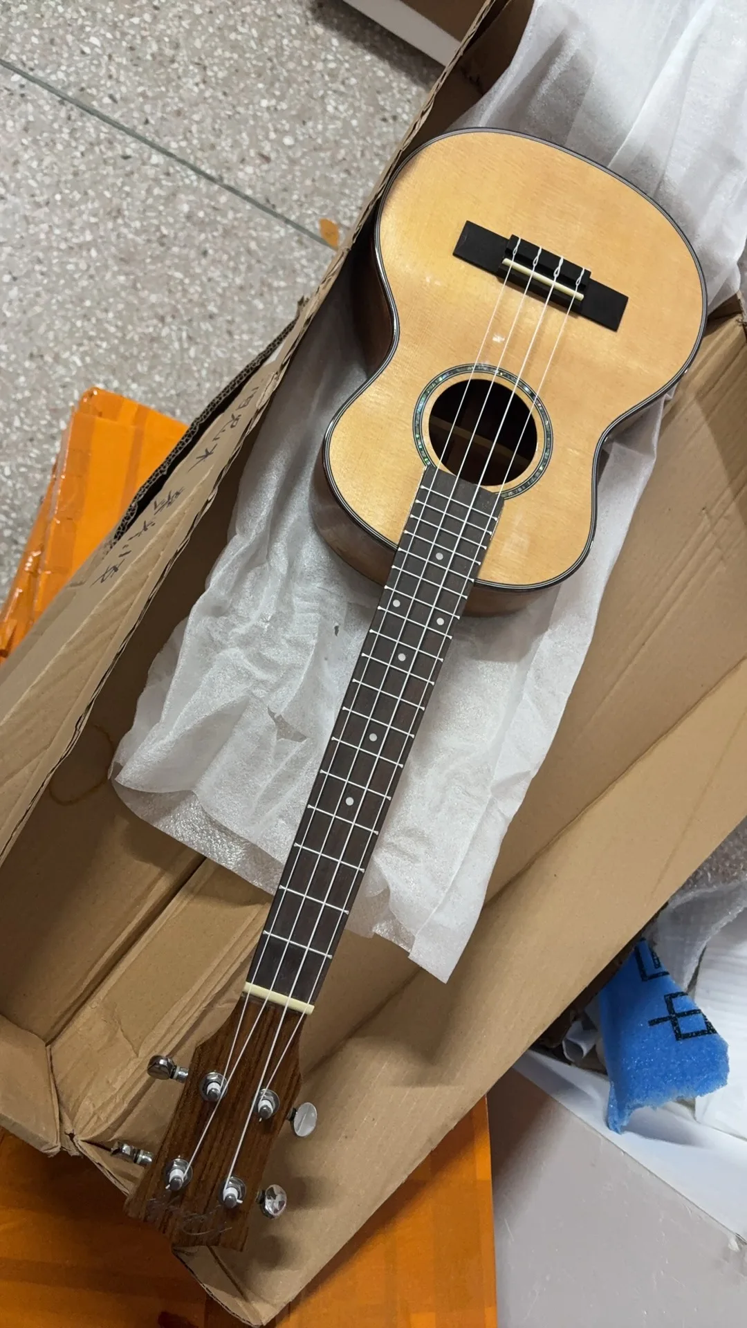 Variant: model 02