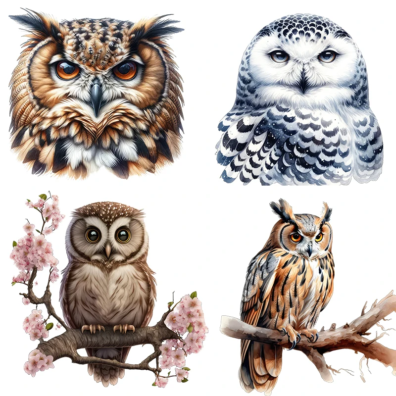 Three Ratels QN38  cartoon owl  wall sticker kindergarten decoration decals
