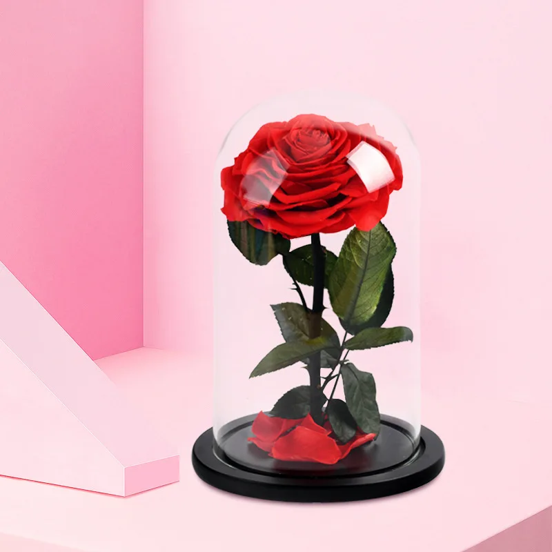 

Eternal Rose In Glass Big Red Rose Preserved Fresh Rose in Glass Valentine's Day gift Romantic Rose Glass Immortal Rose