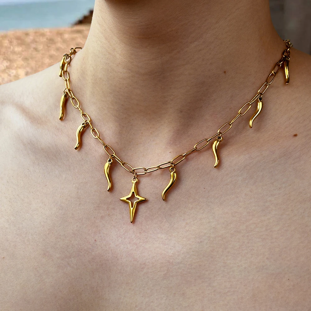 DOTIFI Stainless Steel Pepper Shape Pendant Hollow Star Necklace Female Fashion Personalized Design Collarbone Chain Jewelry