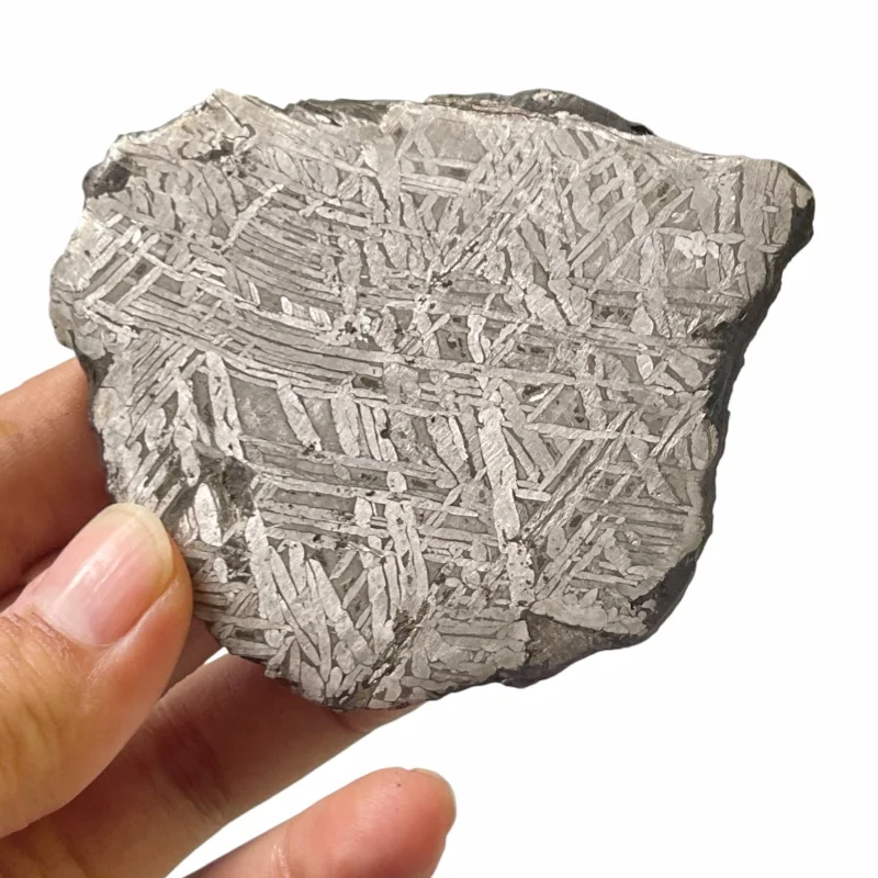 Muonionalusta Iron Meteorite Natural Rough Cut Specimen Clear Widmanstätten Pattern For Collection And Display QC899