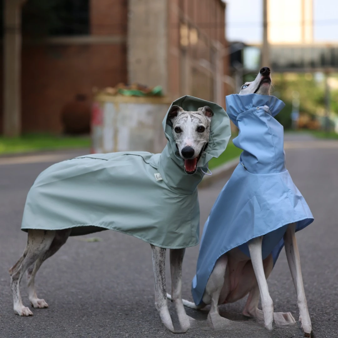 Einfarbiger Regenmantel für Italienische Windhunde und Whippets im Frühling und Sommer, Leichte, Taillenverstellbare, Winddichte Jacke für Hunde – Detail 13
