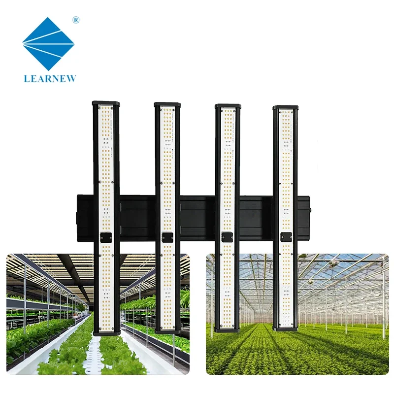 

Светодиодная лента 240 Вт, 730 нм, дальний красный свет, лучшие фитолампы 300 Вт/240 Вт, IP65, 2022, полный спектр, для выращивания медицинских растений