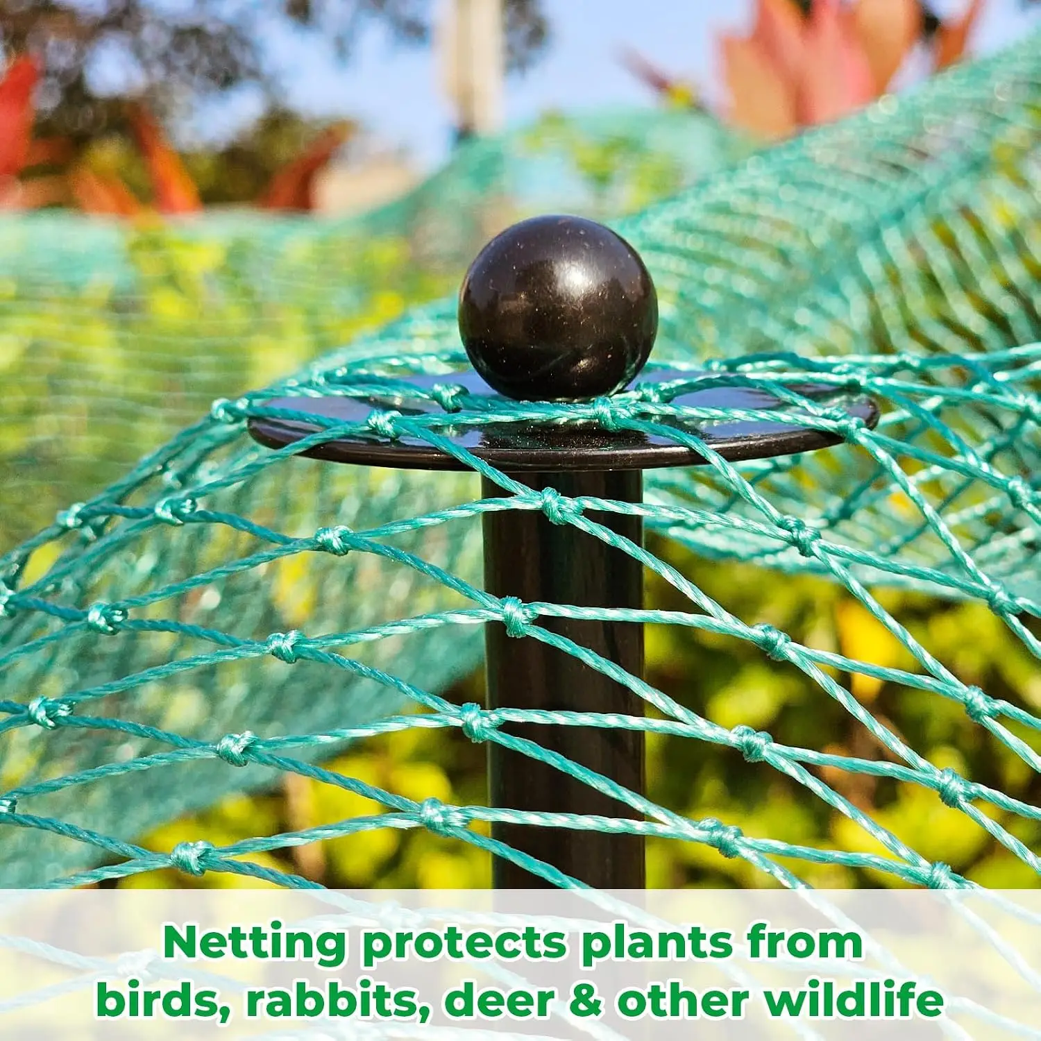 72 Inch Garden Stake Netting Support, Black Heavy Duty Powder Coated Steel Frame for Garden Fencing, Plant & Crop Protection fro
