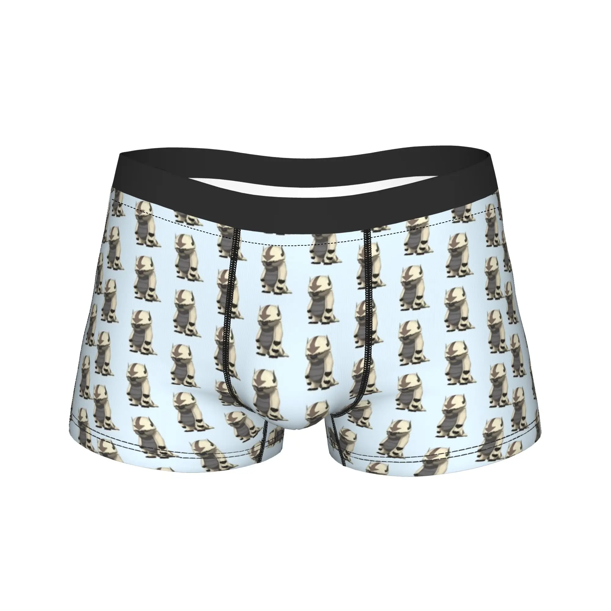 Standing Appa Avatars Airbender Trunk  3D Pouch Underwear Hot Sale Pattern Boxer Brief Breathable Men Panties Plus Size