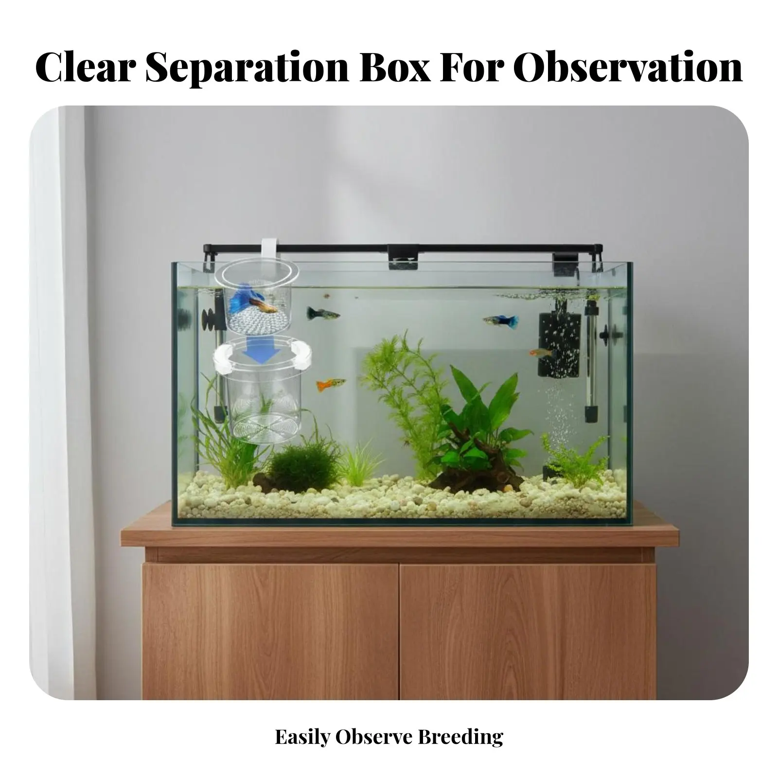 

Guppy Breeder Box High Clearness Aquatic Habitat Separation Box Buoyant Aquatic Pet Hatchery Suction Holder Mount Fishkeeping