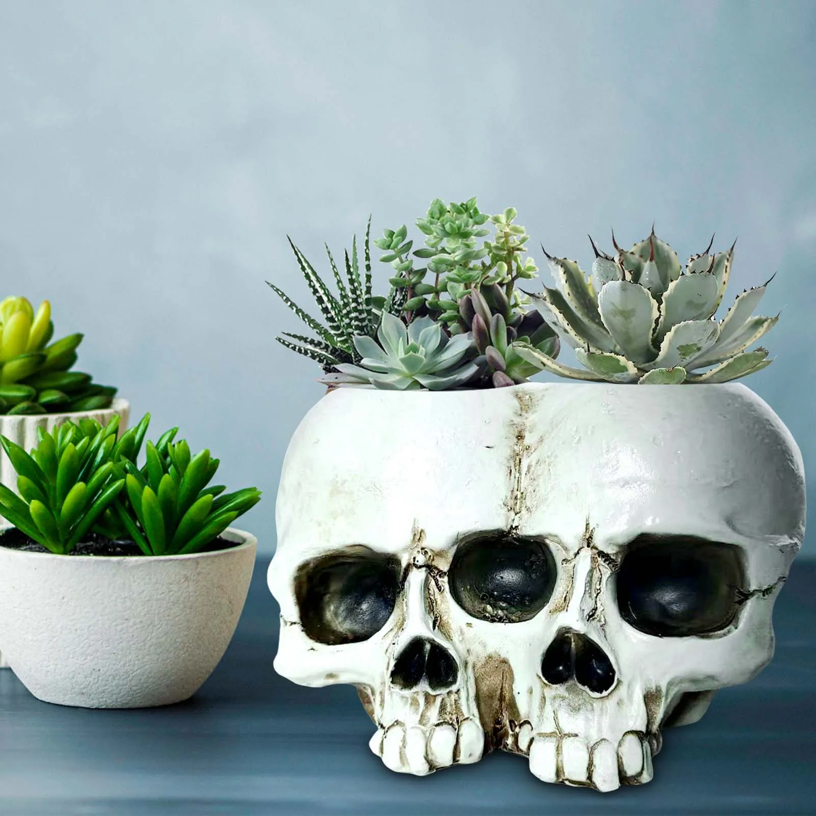 

Resin Skull Flower Pot Home Garden Office Decor Planter Container Skeleton Desktop Flower Pot Halloween Skeleton Flowerpot