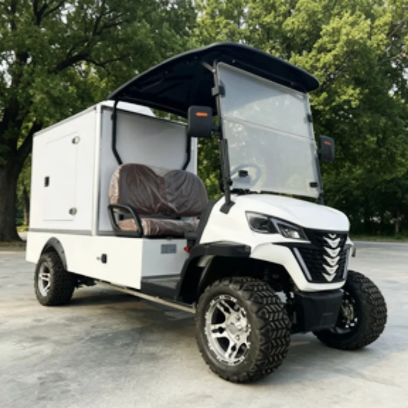 2-Seater Electric Golf Cart Custom Body Color Seat Color Buggy Golf With Large Storage Air-Conditioned Rear Cargo Compartment