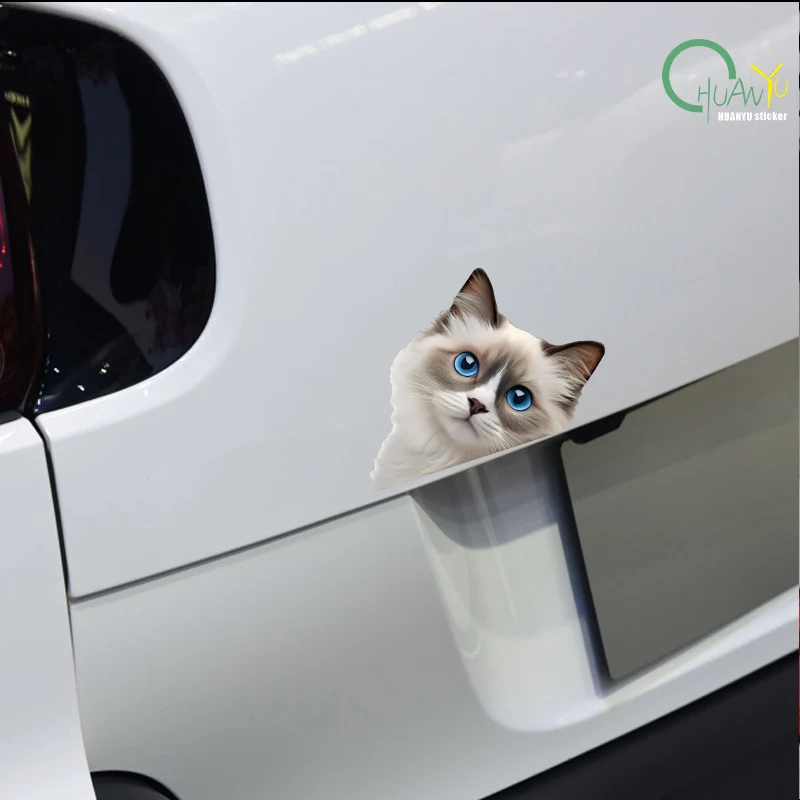 Cute Peeking Cat Car Sticker, Unique Creative Cartoon Scratch Cover Decoration, Waterproof Reflective Decal