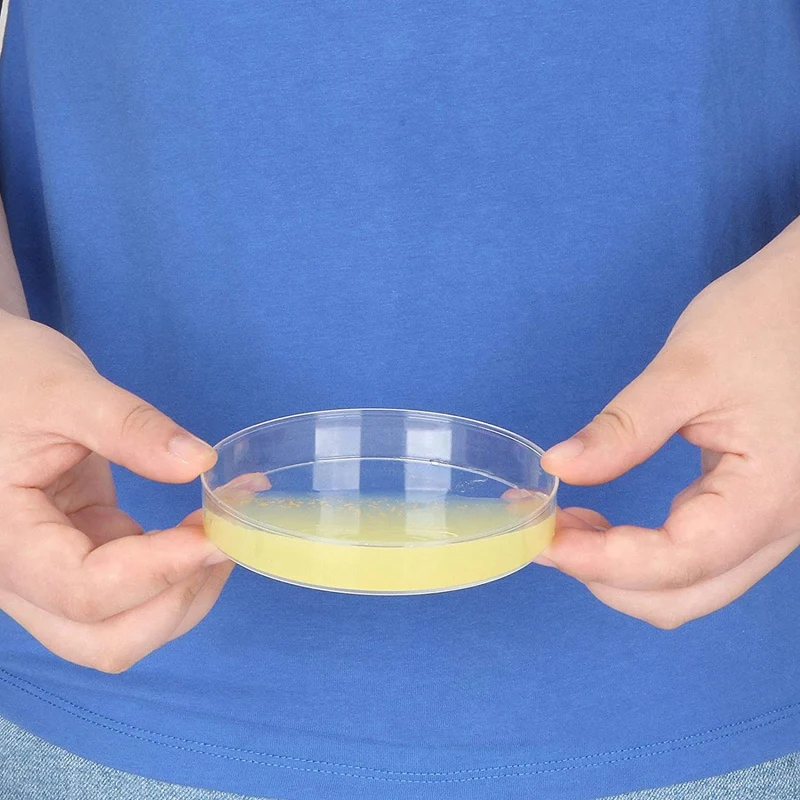 Juego de platos de Petri con tapas, juego de platos de Petri con 100 pipetas de transferencia de plástico (3Ml), Kit para proyectos de feria de ciencia escolar