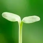 

Аккумулятор 24 В 6800 мАч 18650 25,2 В литиевый аккумулятор 6S2P с дополнительной вилкой BMS + зарядное устройство 25,2 В 2 А