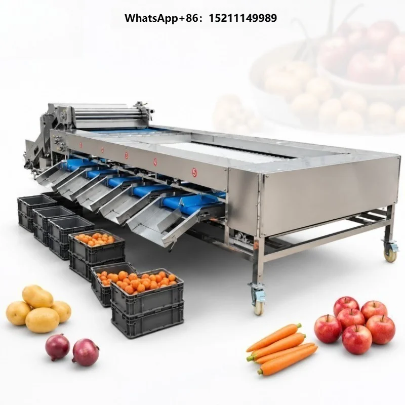 Production Line Dates Sorting Machine Saudi Arabia Dates Grading Potato Tomato Onion Carrot Cucumber Mushroom Grading