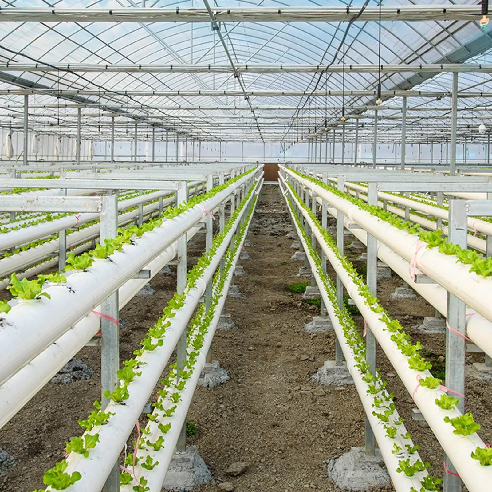Plant Cups 10 Pieces Planter Hydroponics Vertical Tower Cup PVC Grow Basket With Sponge Soilless Culture Growing System Flower