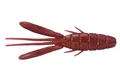SW 077