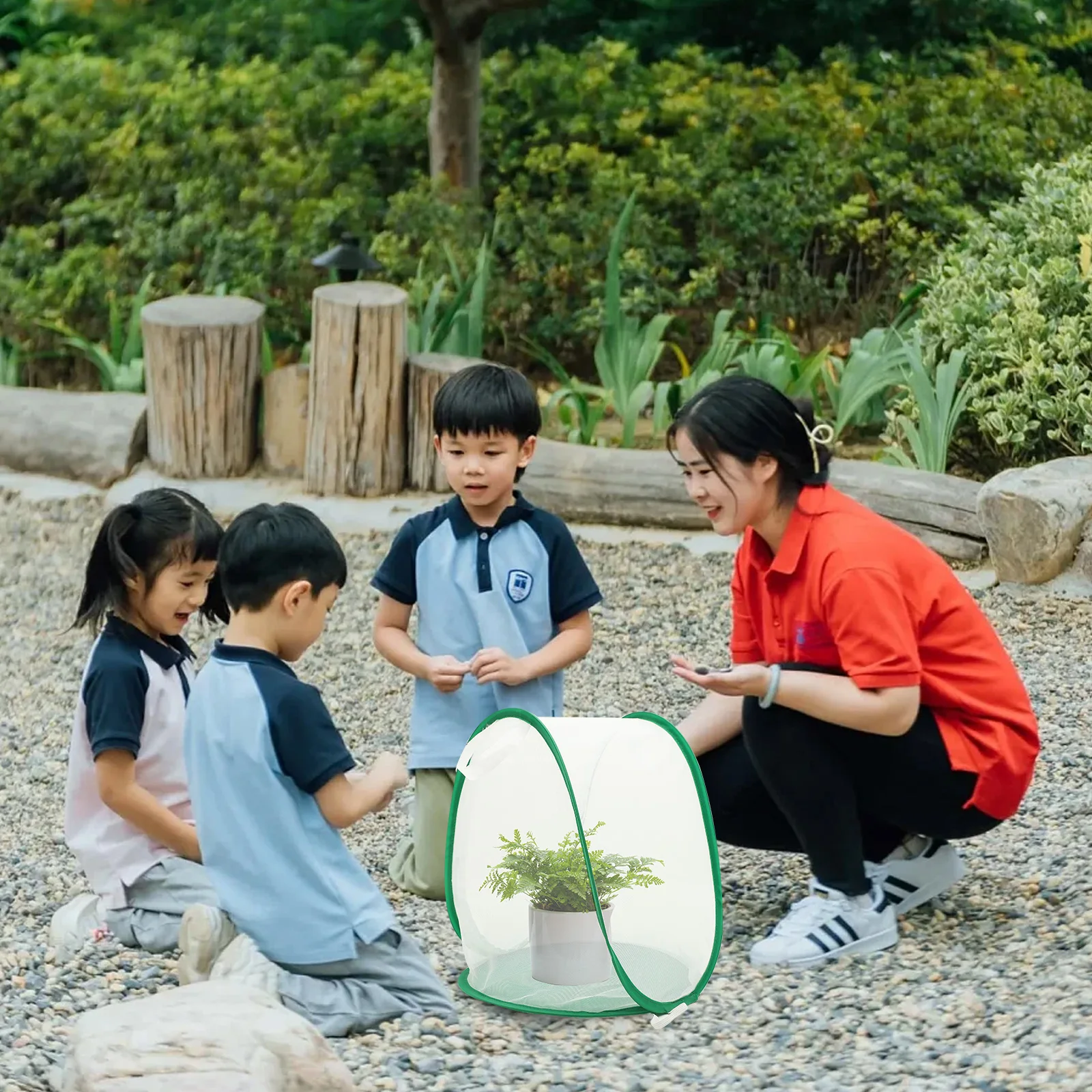 

Insect Cage Mesh Habitat For Butterflies Ladybugs Bee Breeding Outdoor Exploration Learning Lightweight