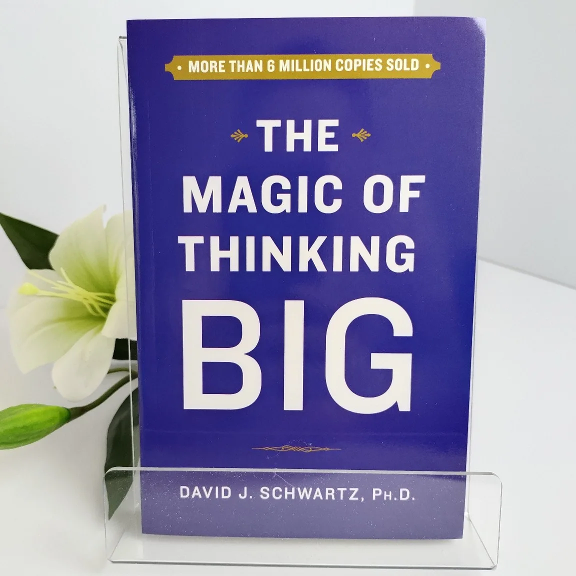 

Английская версия книги «Последного самопомощи Дэвида Дж. Шварц» «Магия большого мышления».