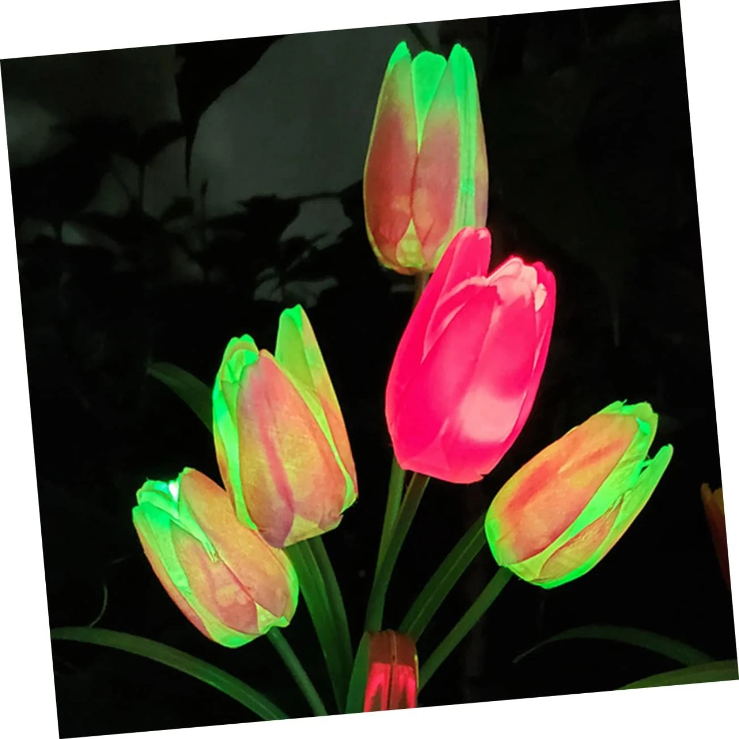 

Illuminate your outdoor space with these exquisite, energy-efficient LED tulip lawn lights. Transform your garden into a breatht