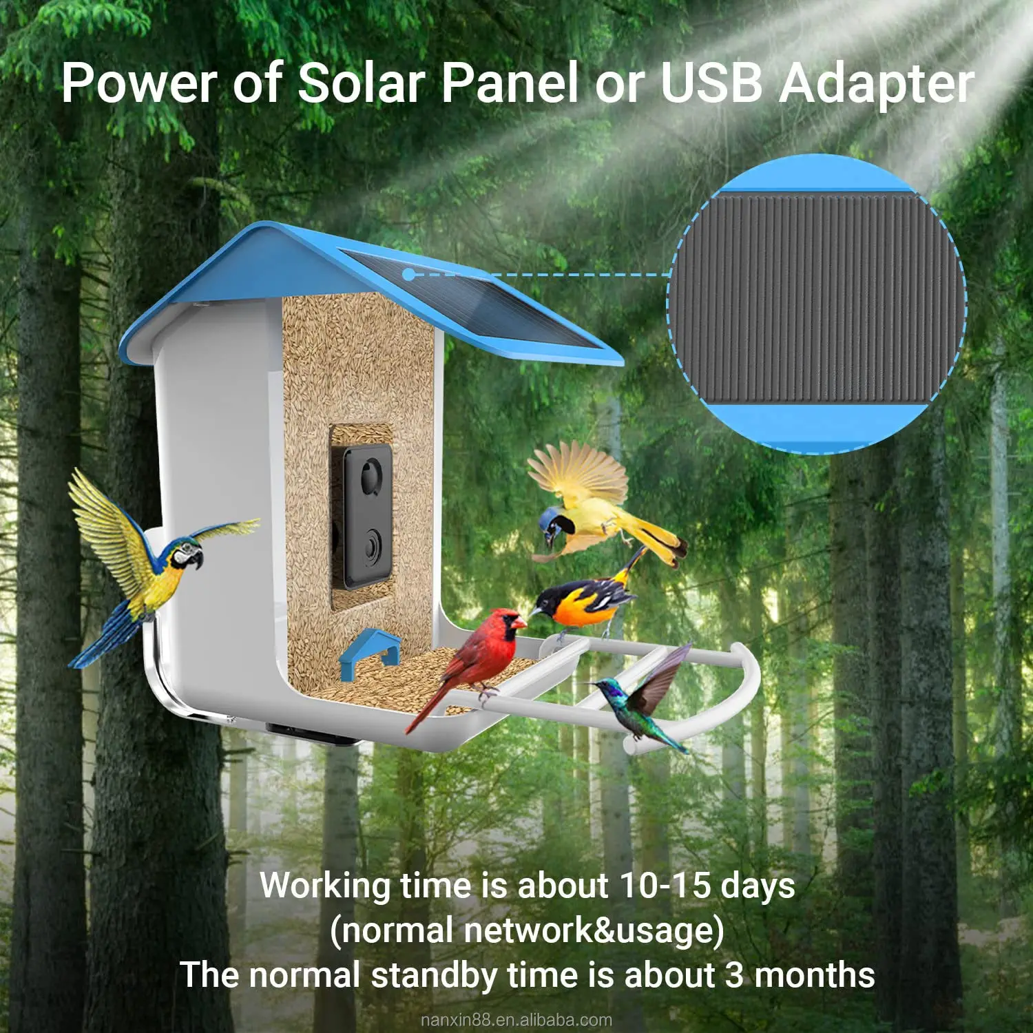 Smart Bird Feeder, 1080P HD Camera, AI Recognition, APP Control, Wireless WiFi, Weatherproof, Motion Detection, Night Vision