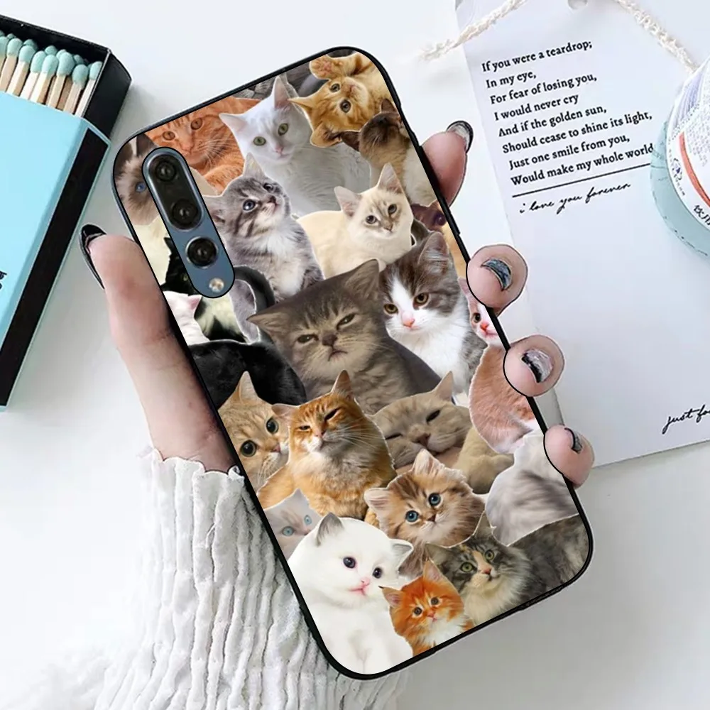 Crying Cat Memes Phone Case For Huawei P 8 9 10 20 30 40 50 Pro Lite Psmart Honor 10 lite 70 Mate 20lite