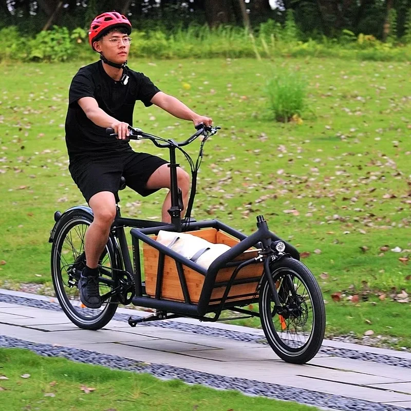 

500W Powerful 2-Wheel Cargo City Bike