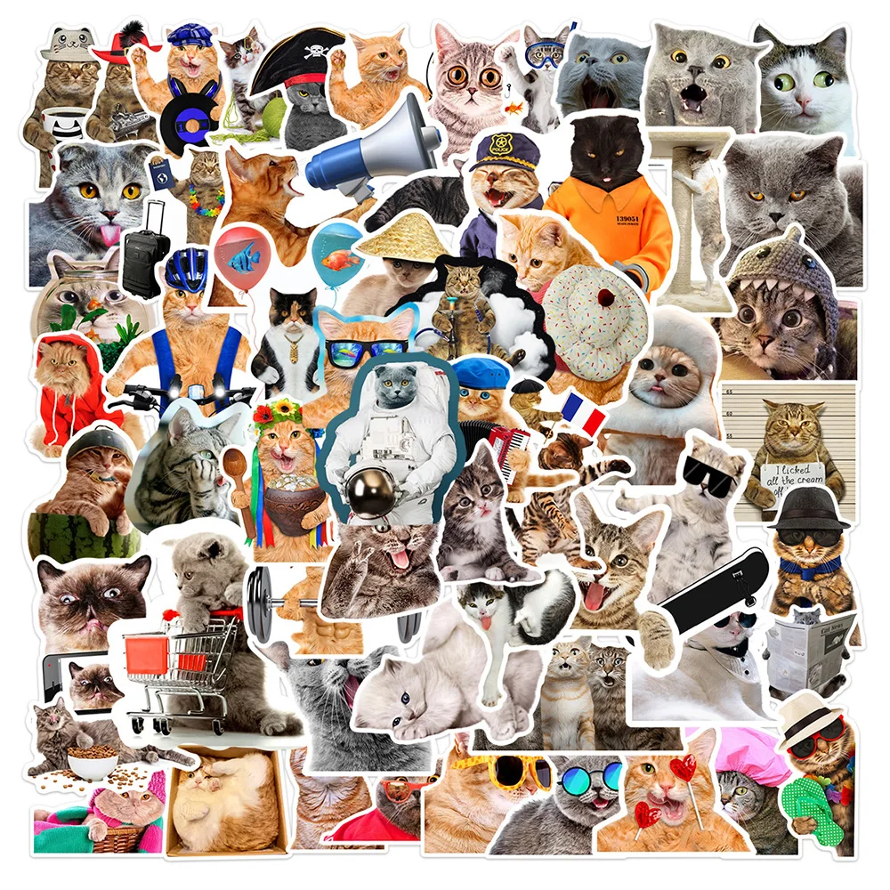 

10/30/66pcs Cute Funny Cartoon Cat MEME Stickers Decal Suitcase Notebook Laptop Phone Waterproof Kawaii Animal Sticker Wholesale