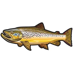 Car Stickers Wild Brown Trout Caravan Accessories Personality Sticker Products Exterior Parts PVC Stylish Decoration