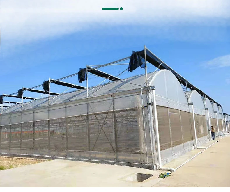 Szeroka oferta paneli PC do szklarni o niskim kosztie, szklarnie do uprawy ziół, szklarnie do pomidorów ze stalową konstrukcją i systemem hydroponicznym na rok 2025.