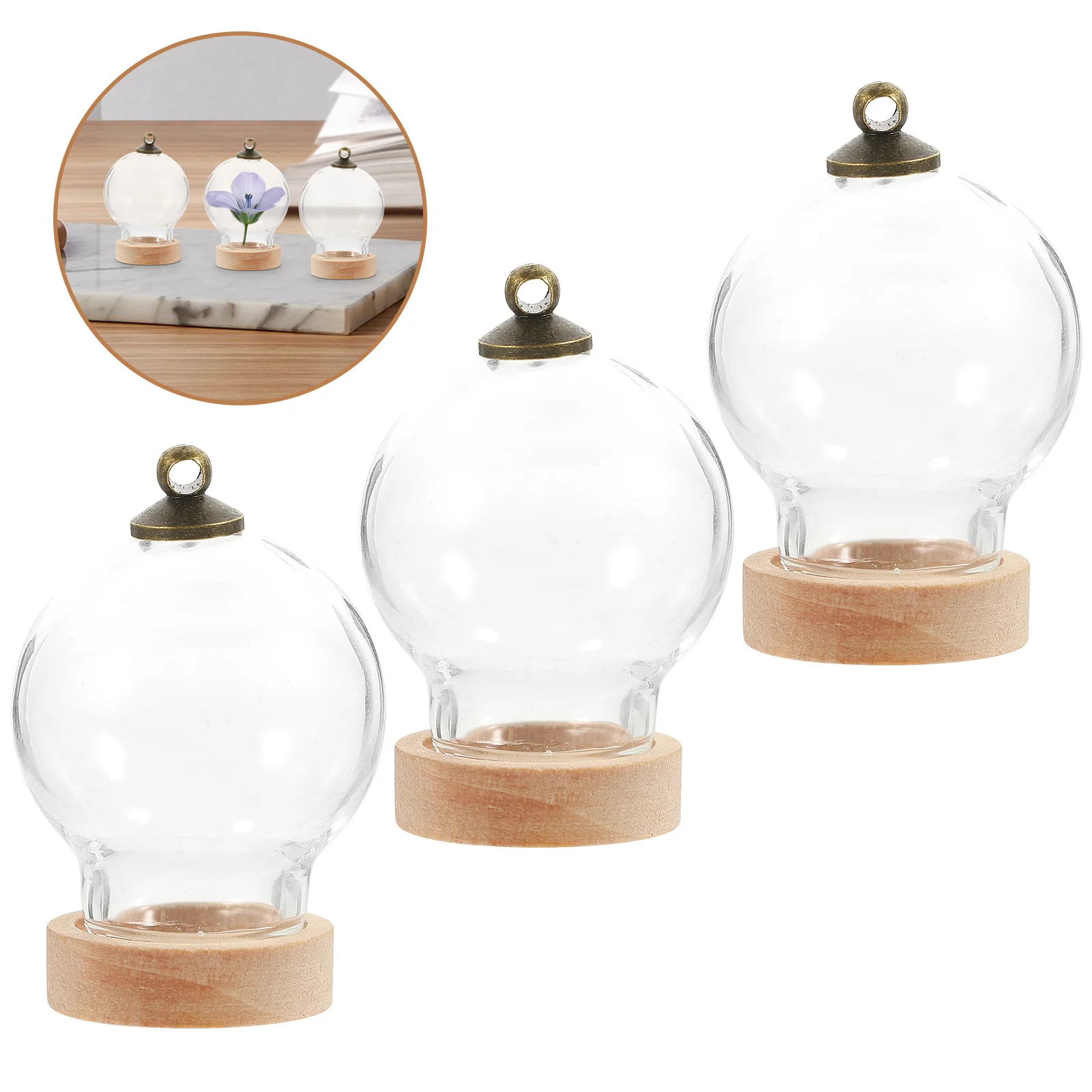 

3Pcs Eternal Life Flower Glass Dome Small Display Case Transparent Dome with Base Micro Landscape Home Decoration