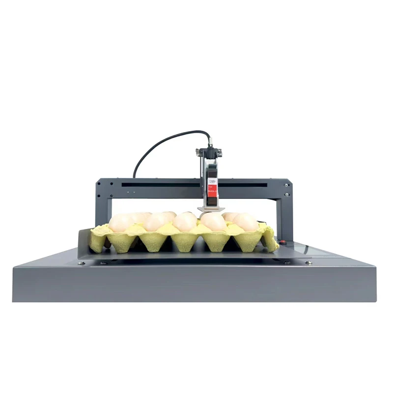 

Quick Dried Egg Printing Inkjet Printer Double Row Labeling Machine with Ink Spraying for Soil and Egg Labels