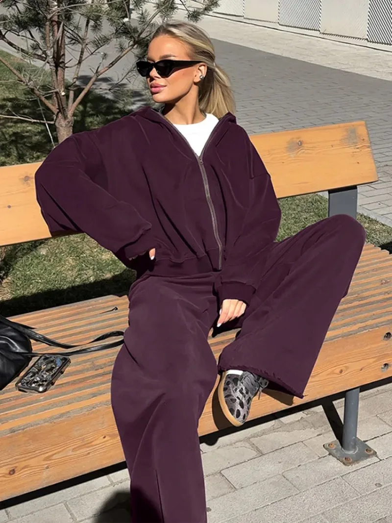

Fashion Solid Hoodie Suit Women Casual Zipper Full Sleeve Loose Straight Wide Leg Pants Suit 2025 New Autumn Lady Street Outfit