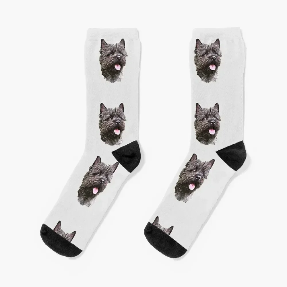 

Cairn Terrier Cutie Socks man custom sports Lots Heating sock Socks Men Women's