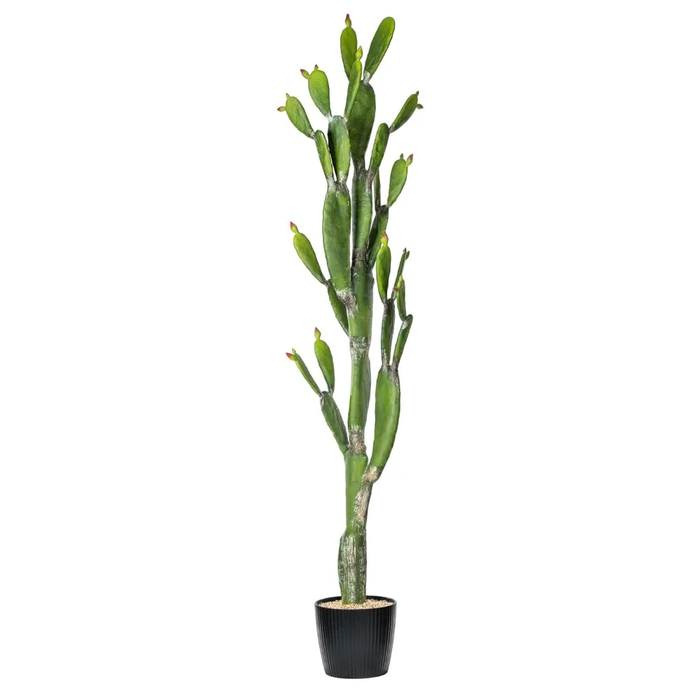 

Everyday 80" Artificial Green Cactus in a Black Plastic Planters Pot - Faux Indoor Potted Plant - Greenery for Home or Office