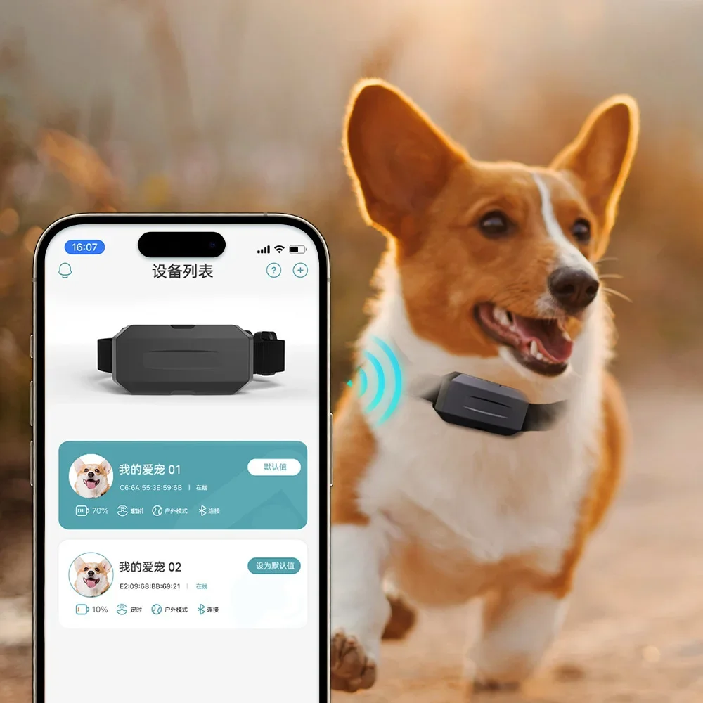 a Pet GPS Tracker Collar Real Time Location Tracking Anti Lost Dog Cat Locator Pet Tracking Device with Mobile APP Control