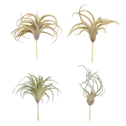 Confezione da 4 piante artificiali di erba di ananas fiori finti Faux floccaggio Tillandsia Bromeliads Home Garden Decor