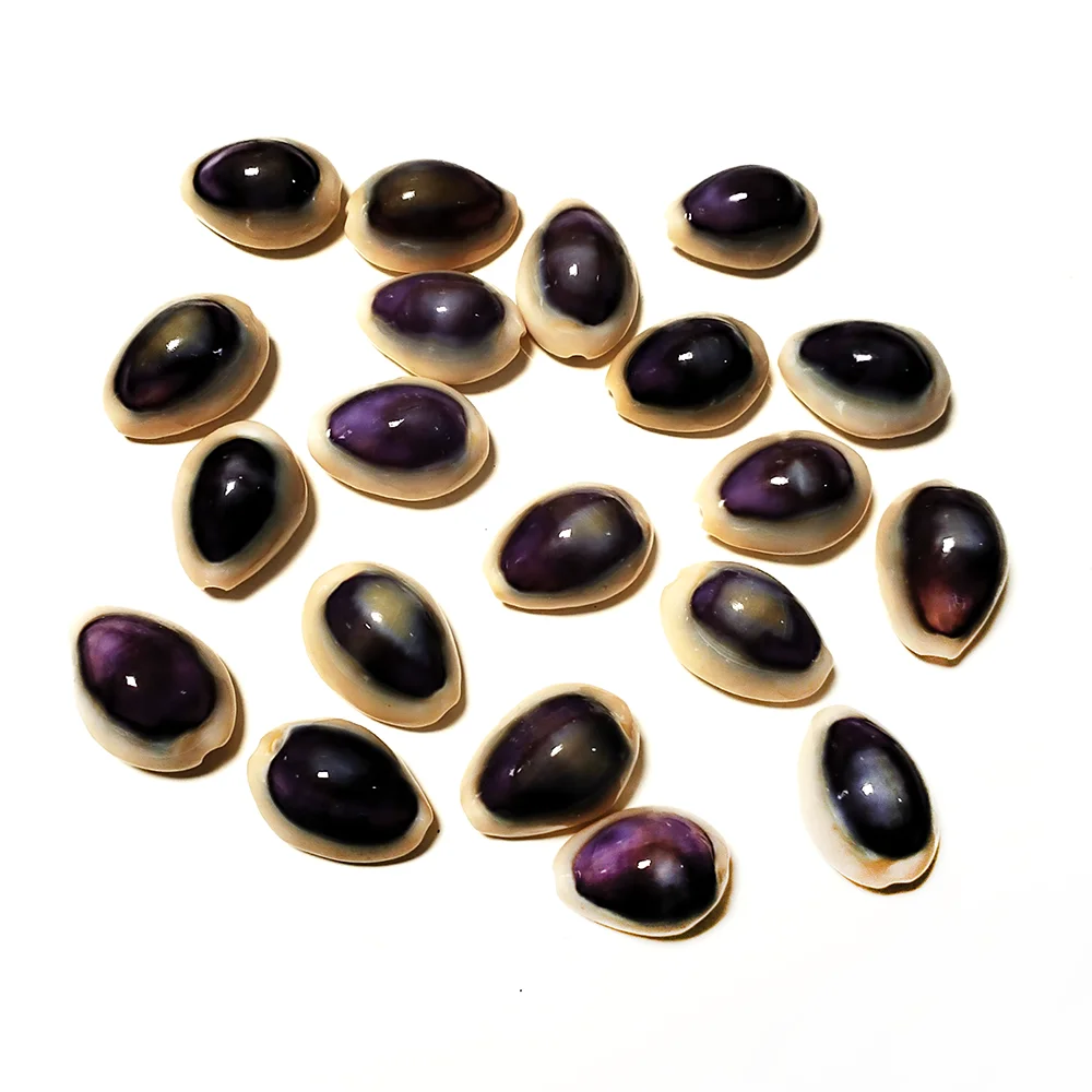 20 PC Blue-eyed Cowrie Sea Shells Real Purple Conch For Specimen Creative DIY Jewelry Nautical Fish Tank Aquarium Landscape