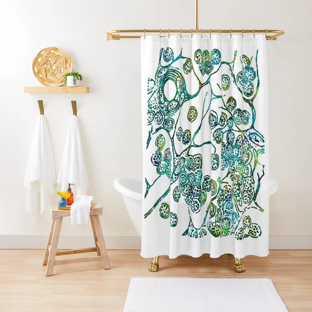 

Cells of Lymphatic Gland Histology Shower Curtain Anime Bathroom Shower Bathroom Bathroom Fabric Curtain