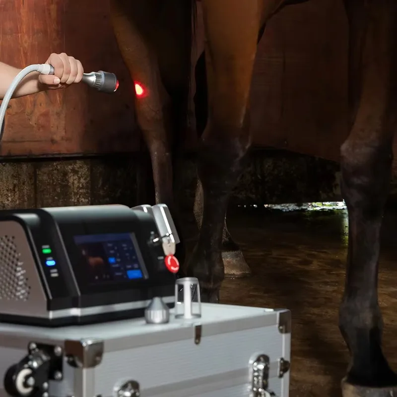 10W-30W Professional High Power Veterinary Therapy Device with Dual Wavelengths for Pet Rehabilitation