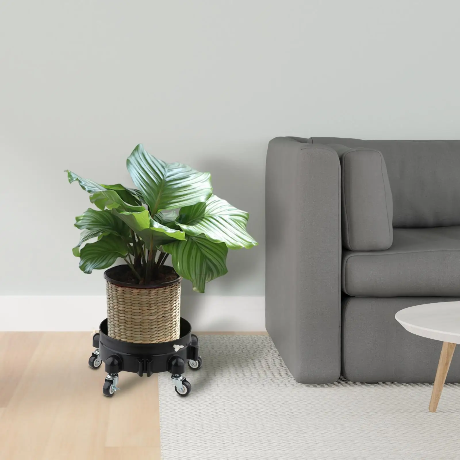 قسط PP المتداول دلو دوللي عجلات مستقرة وعاء النبات حامل لتنظيف السيارات والحديقة والمهام الديكور #2