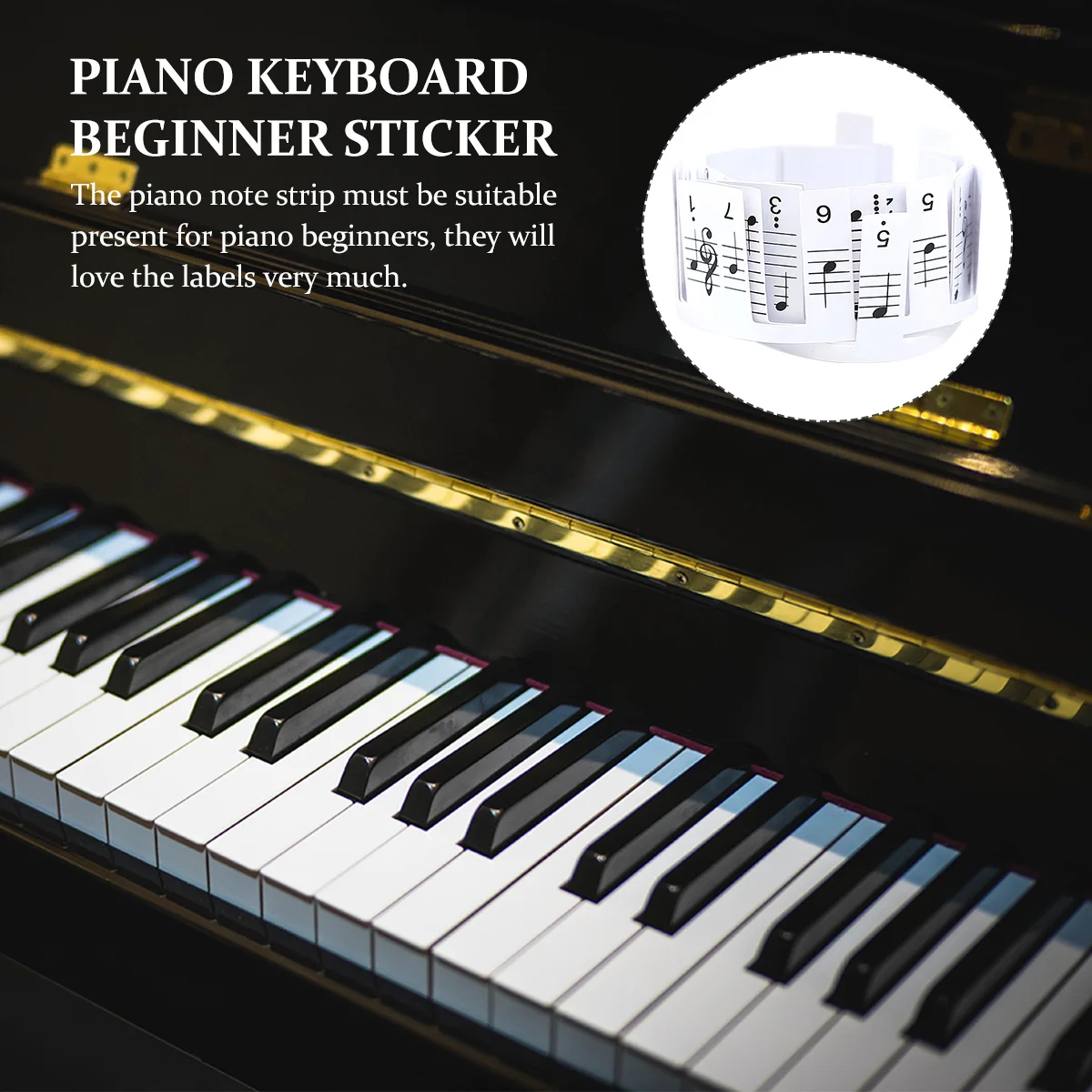 

Label Keyboard Stickers Piano Removable Note Labels Pvc Reusable Learning Supplies